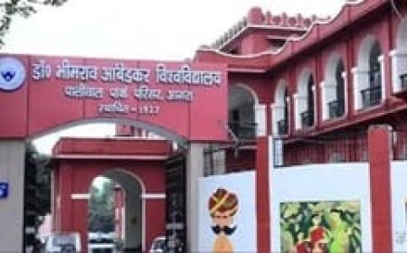 आगरा विश्वविद्यालय में पीएचडी के लिए 1013 विद्यार्थियों का चयन, 49 विषयों में जारी हुई सूची