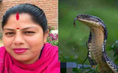 Udham singh nagar news : कर्नाटक में सांप के डसने से उत्तराखंड की महिला की मौत, शव लाने में लगे ₹1.25 लाख