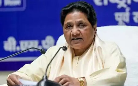 मायावती ने बसपा संगठन में किया बड़ा बदलाव, तीन सेक्टर में बांटा पार्टी का काम