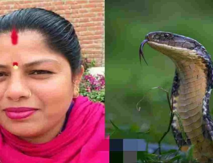 Udham singh nagar news : कर्नाटक में सांप के डसने से उत्तराखंड की महिला की मौत, शव लाने में लगे ₹1.25 लाख