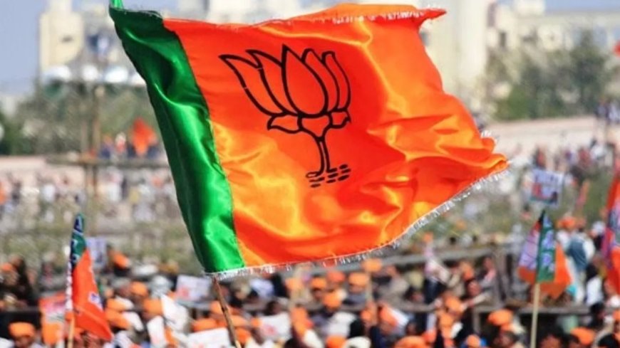 बिना संगठन मंत्री और प्रदेश प्रभारी के हो रही 2027 की तैयारी!, संगठन पर पड़ेगा असर