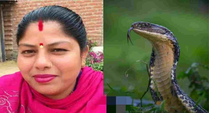 Udham singh nagar news : कर्नाटक में सांप के डसने से उत्तराखंड की महिला की मौत, शव लाने में लगे ₹1.25 लाख