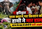हरिद्वार के लालढांग में हाथी के हमले से किसान की हुई मौत, ग्रामीणों में आक्रोश