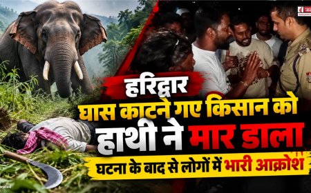 हरिद्वार के लालढांग में हाथी के हमले से किसान की हुई मौत, ग्रामीणों में आक्रोश