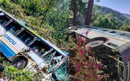 Pauri Garhwal news : पौड़ी में टला हादसा, पेड़ ने बचाई GMOU की बस खाई में गिरने से
